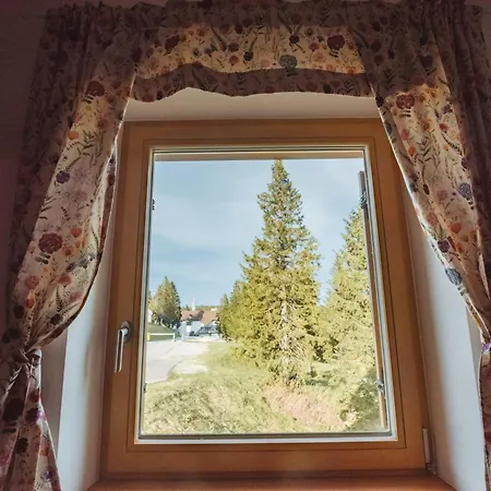 Rogla Alpina * Zrece