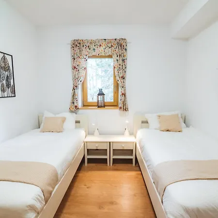 Rogla Alpina Apartman *
