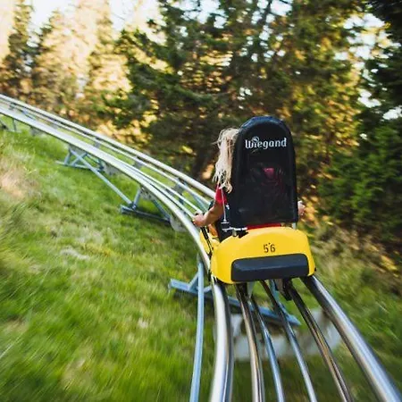 Apartman Rogla Alpina