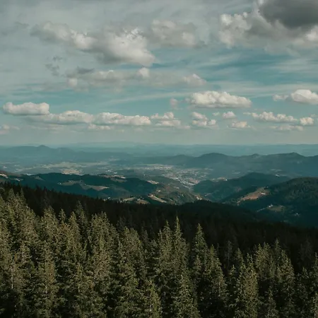 Rogla Alpina * Зрече