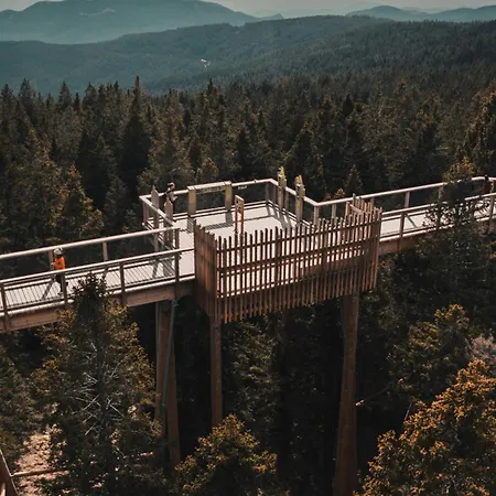 Apartman Rogla Alpina Zreče