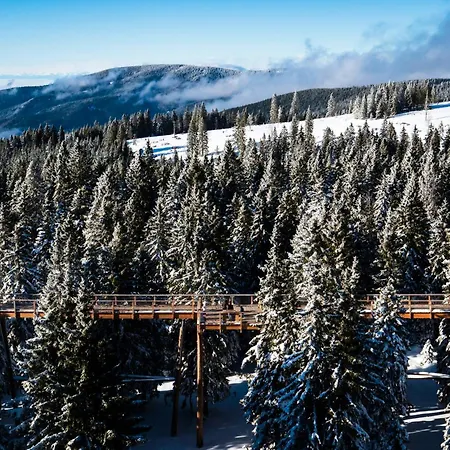 شقة Rogla Alpina *