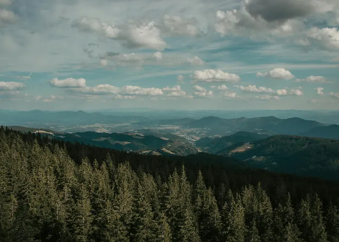 Rogla Alpina * Zreče