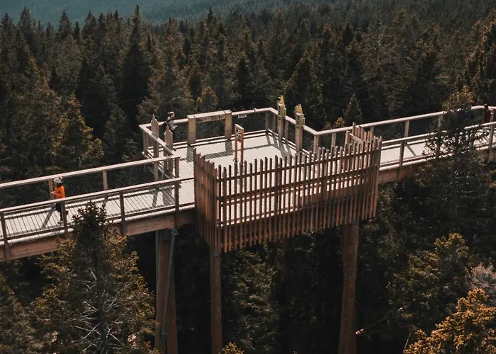 Appartement Rogla Alpina Zreče