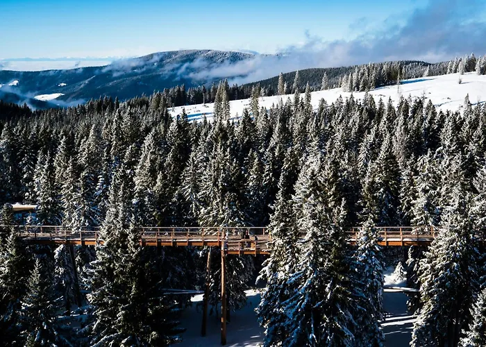 شقة Rogla Alpina *